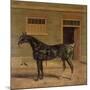 A Carriage Horse in a Stable Yard-John Frederick Herring I-Mounted Giclee Print