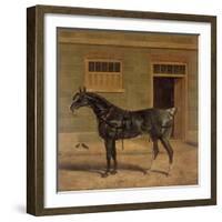 A Carriage Horse in a Stable Yard-John Frederick Herring I-Framed Giclee Print