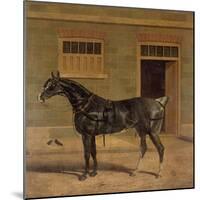 A Carriage Horse in a Stable Yard-John Frederick Herring I-Mounted Giclee Print