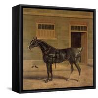 A Carriage Horse in a Stable Yard-John Frederick Herring I-Framed Stretched Canvas