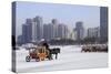 A Carriage on the Icebound Songhua River in Harbin, Heilongjiang, China, Asia-Gavin Hellier-Stretched Canvas