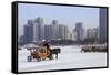 A Carriage on the Icebound Songhua River in Harbin, Heilongjiang, China, Asia-Gavin Hellier-Framed Stretched Canvas