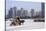 A Carriage on the Icebound Songhua River in Harbin, Heilongjiang, China, Asia-Gavin Hellier-Stretched Canvas