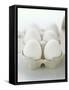 A Carton of Six White Eggs-null-Framed Stretched Canvas