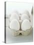 A Carton of Six White Eggs-null-Stretched Canvas