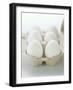A Carton of Six White Eggs-null-Framed Photographic Print