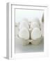 A Carton of Six White Eggs-null-Framed Photographic Print