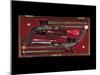 A Cased Pair of 'Best' Percussion Multigroove-Rifled Target Pistols-English School-Mounted Giclee Print