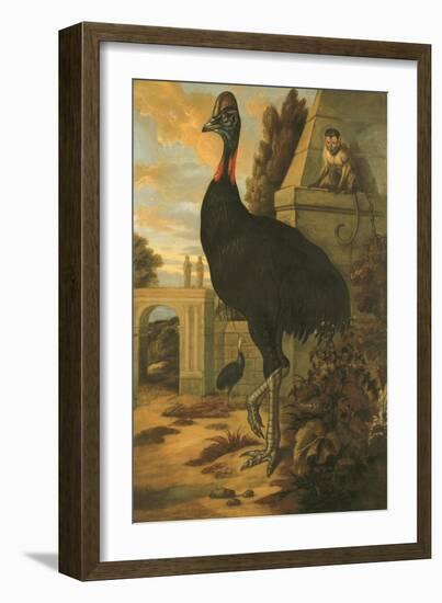 A Cassowary-Francis Barlow-Framed Giclee Print