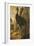 A Cassowary-Francis Barlow-Framed Giclee Print