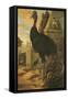 A Cassowary-Francis Barlow-Framed Stretched Canvas