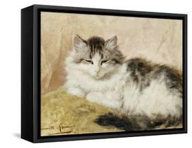 A Cat, 1893-Henriette Ronner-Knip-Framed Stretched Canvas