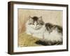 A Cat, 1893-Henriette Ronner-Knip-Framed Giclee Print