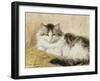 A Cat, 1893-Henriette Ronner-Knip-Framed Giclee Print