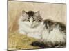 A Cat, 1893-Henriette Ronner-Knip-Mounted Giclee Print