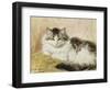 A Cat, 1893-Henriette Ronner-Knip-Framed Giclee Print