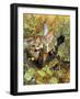 A Cat and a Chaffinch, 1885-Bruno Liljefors-Framed Giclee Print