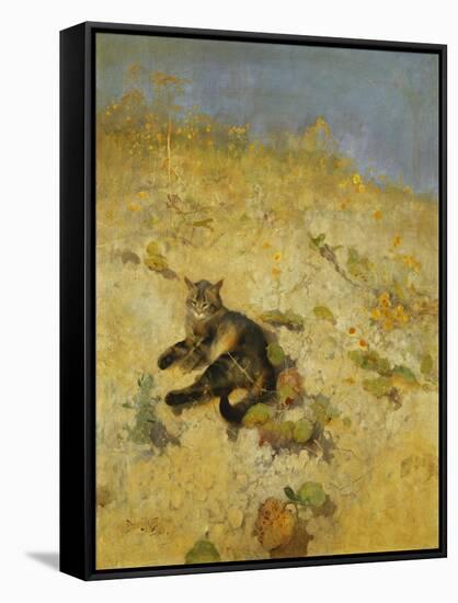 A Cat Basking in the Sun, 1884-Bruno Andreas Liljefors-Framed Stretched Canvas