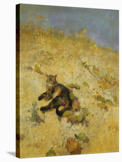 A Cat Basking in the Sun, 1884-Bruno Andreas Liljefors-Stretched Canvas
