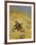 A Cat Basking in the Sun, 1884-Bruno Andreas Liljefors-Framed Giclee Print