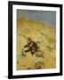 A Cat Basking in the Sun, 1884-Bruno Andreas Liljefors-Framed Giclee Print