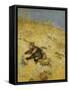 A Cat Basking in the Sun-Bruno Liljefors-Framed Stretched Canvas