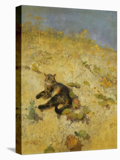 A Cat Basking in the Sun-Bruno Liljefors-Stretched Canvas