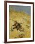 A Cat Basking in the Sun-Bruno Liljefors-Framed Giclee Print