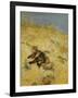 A Cat Basking in the Sun-Bruno Liljefors-Framed Giclee Print