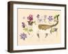 A Cat called Dave-Alison Cooper-Framed Giclee Print