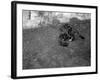 A Cat Drinking-null-Framed Photographic Print