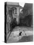 A Cat in a New Orleans Courtyard-null-Stretched Canvas