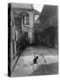 A Cat in a New Orleans Courtyard-null-Stretched Canvas