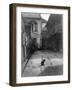 A Cat in a New Orleans Courtyard-null-Framed Photographic Print