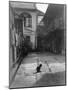 A Cat in a New Orleans Courtyard-null-Mounted Photographic Print