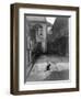 A Cat in a New Orleans Courtyard-null-Framed Photographic Print