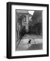 A Cat in a New Orleans Courtyard-null-Framed Photographic Print