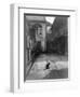 A Cat in a New Orleans Courtyard-null-Framed Photographic Print