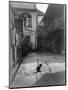 A Cat in a New Orleans Courtyard-null-Mounted Photographic Print