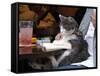 A Cat Joins its Owner Reading a Book at a Tokyo Cafe-null-Framed Stretched Canvas