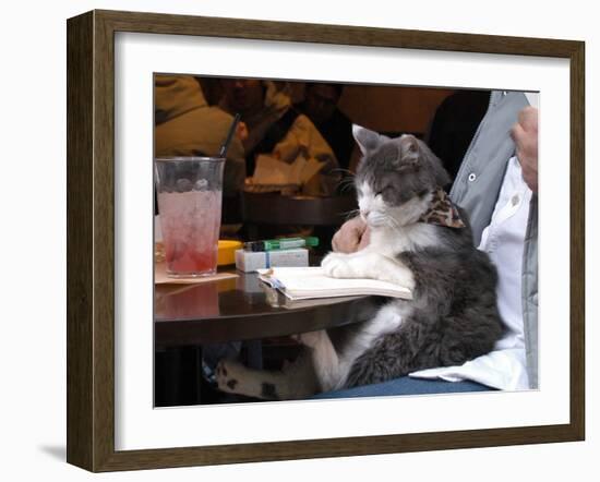 A Cat Joins its Owner Reading a Book at a Tokyo Cafe-null-Framed Premium Photographic Print