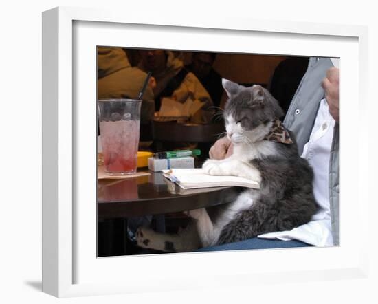 A Cat Joins its Owner Reading a Book at a Tokyo Cafe-null-Framed Premium Photographic Print