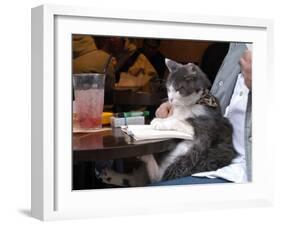 A Cat Joins its Owner Reading a Book at a Tokyo Cafe-null-Framed Premium Photographic Print