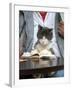 A Cat Joins its Owner Reading a Book at a Tokyo Cafe-null-Framed Premium Photographic Print