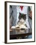 A Cat Joins its Owner Reading a Book at a Tokyo Cafe-null-Framed Premium Photographic Print