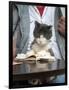 A Cat Joins its Owner Reading a Book at a Tokyo Cafe-null-Framed Photographic Print