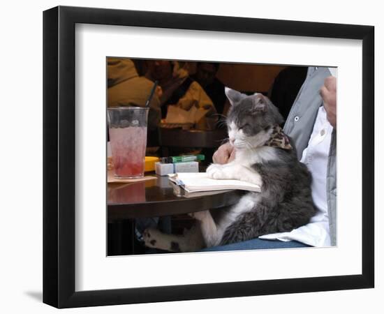 A Cat Joins its Owner Reading a Book at a Tokyo Cafe-null-Framed Photographic Print