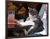 A Cat Joins its Owner Reading a Book at a Tokyo Cafe-null-Framed Photographic Print