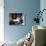 A Cat Joins its Owner Reading a Book at a Tokyo Cafe-null-Photographic Print displayed on a wall