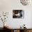 A Cat Joins its Owner Reading a Book at a Tokyo Cafe-null-Photographic Print displayed on a wall